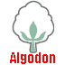 El Algodón