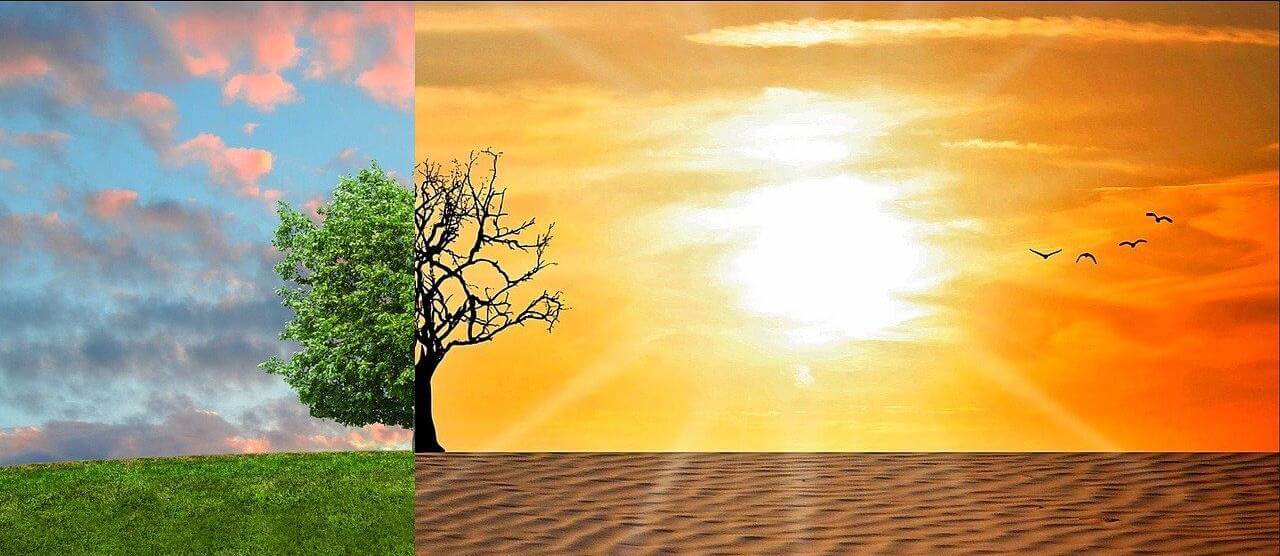 Cambio Climatico