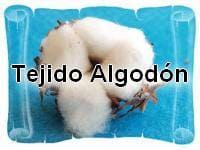 El Algodón