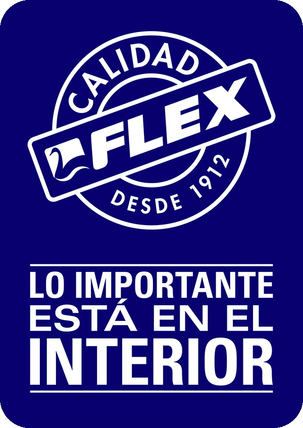 Grupo Flex